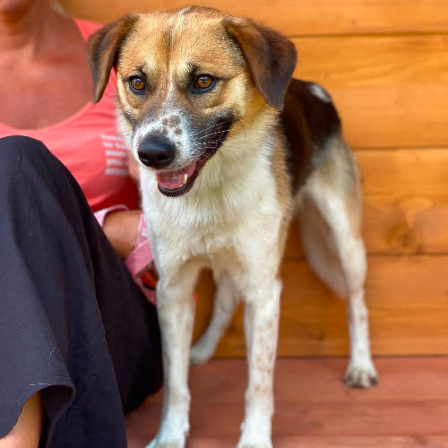 Tobi