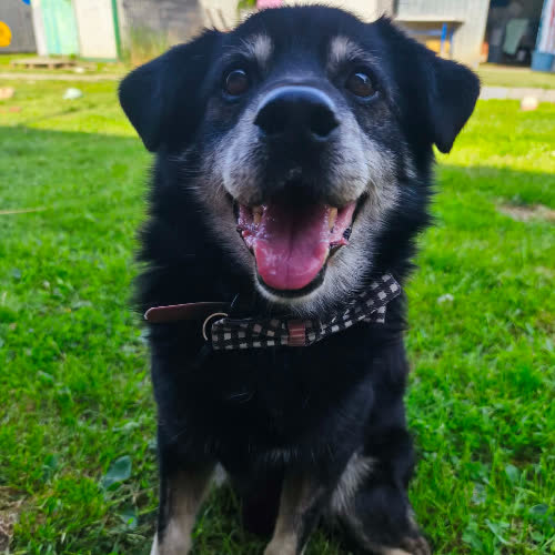 Kosmo