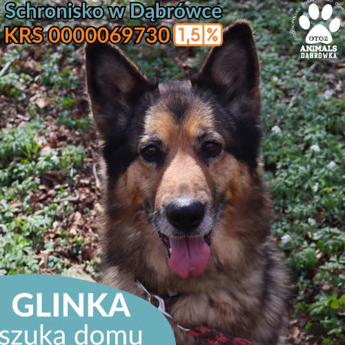 Glinka