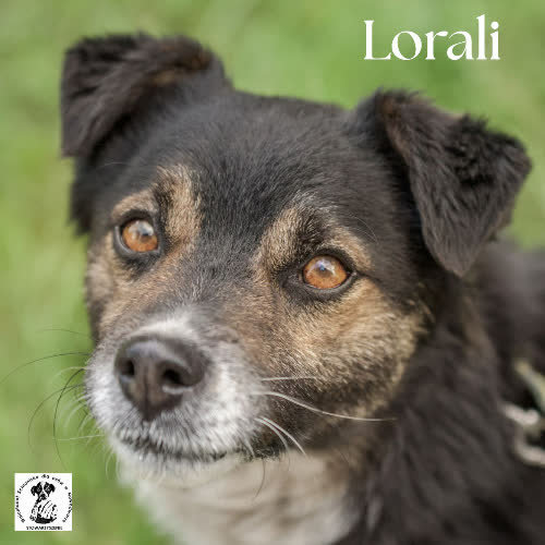 Lorali