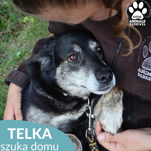Telka