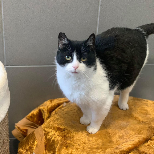 Biedronka - rezerwacja