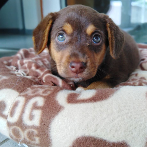 Nutella - rezerwacja