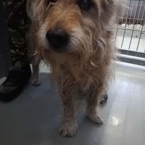 Kefir - odebrany przez wł